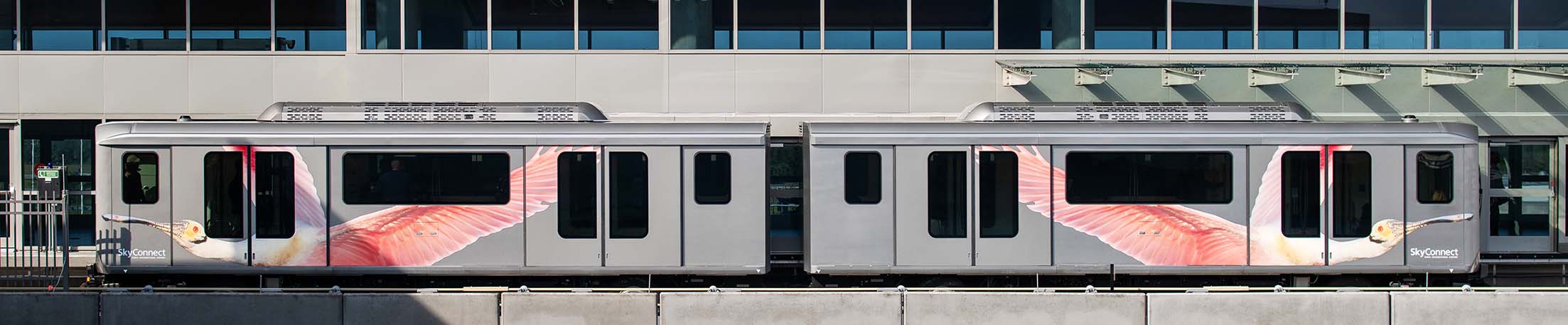 Exterior of a SkyConnect train